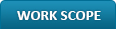 WORK SCOPE